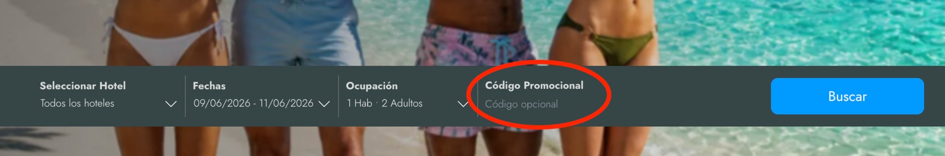 Casilla para aplicar el codigo descuento Oasis Hoteles